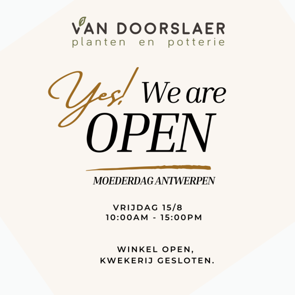 Antwerpse moederdag