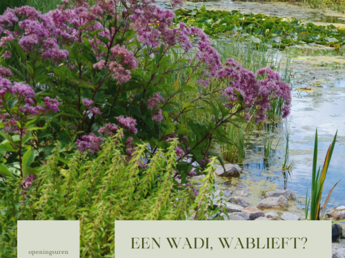 wadi